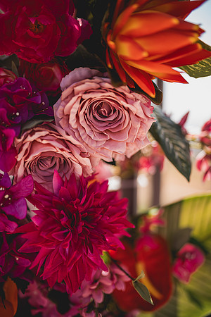 Ellis Wedding-20240531-1358