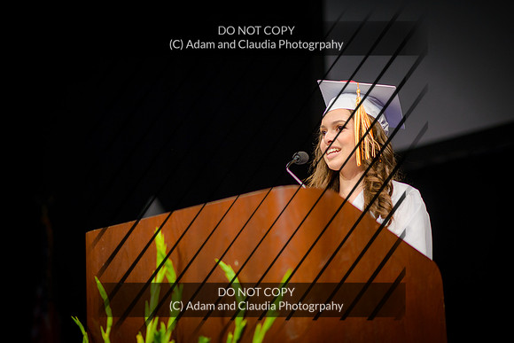 Capistrano 12th grade 2015-1188