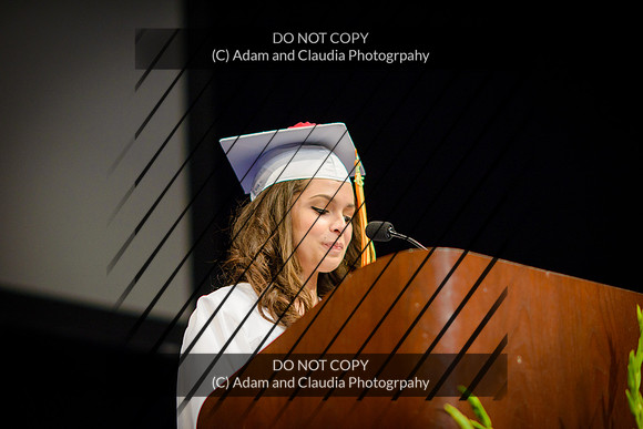 Capistrano 12th grade 2015-1196