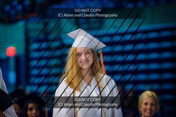Capistrano 12th grade 2015-1272
