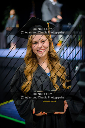 Capistrano 12th grade 2015-1346