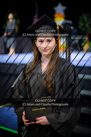 Capistrano 12th grade 2015-1358