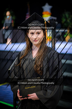 Capistrano 12th grade 2015-1359