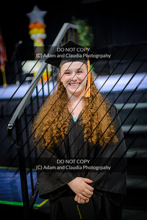 Capistrano 12th grade 2015-1598