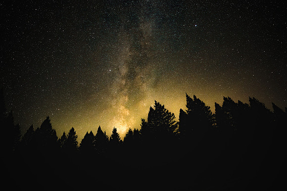 Reaching for the Stars