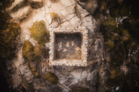 The Lookout