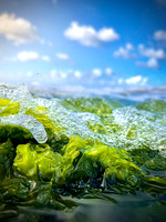 Hawaiian Wave