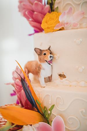 Ellis Wedding-20240531-2119