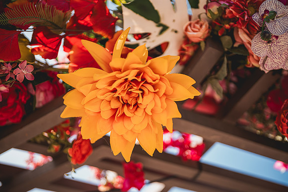 Ellis Wedding-20240531-1361