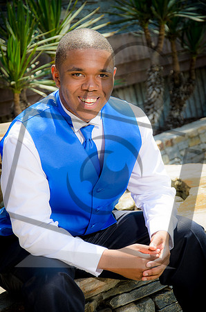 Formal Portraits HS-1071