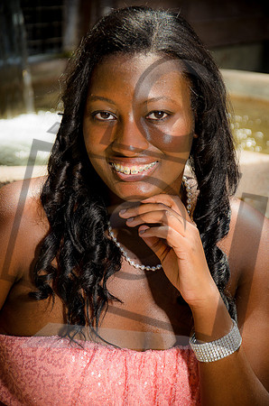 Formal Portraits HS-1033