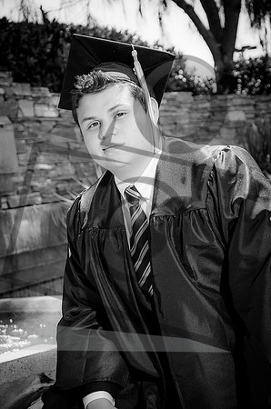 Formal Portraits HS-1046-2