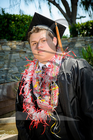 Formal Portraits HS-1043
