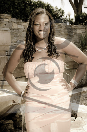 Formal Portraits HS-1036-2