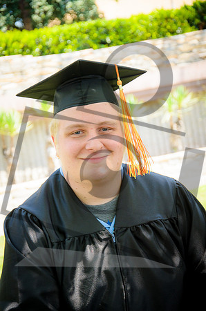 Formal Portraits HS-1010