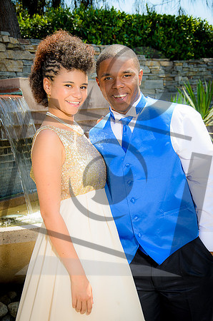 Formal Portraits HS-1073