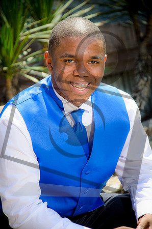 Formal Portraits HS-1072