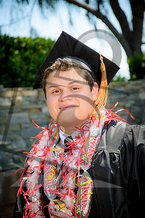 Formal Portraits HS-1045