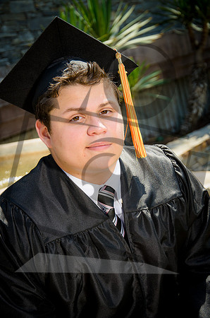Formal Portraits HS-1050