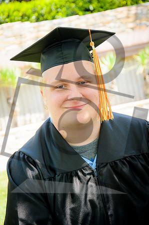 Formal Portraits HS-1009