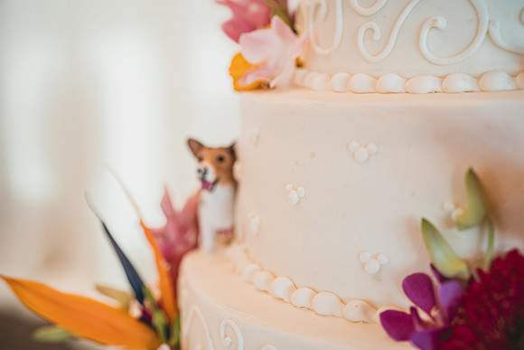 Ellis Wedding-20240531-2113