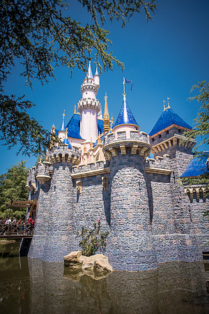 Disney-1004