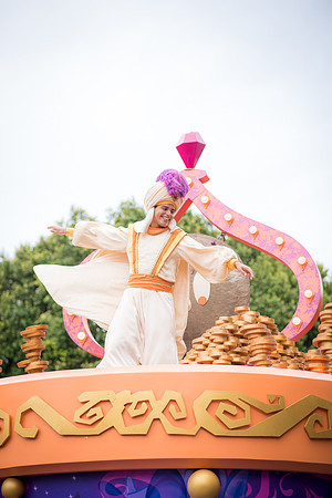 Disney Stcok-1017