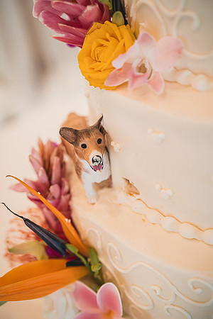 Ellis Wedding-20240531-2116