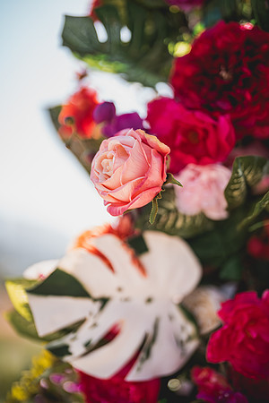 Ellis Wedding-20240531-1360