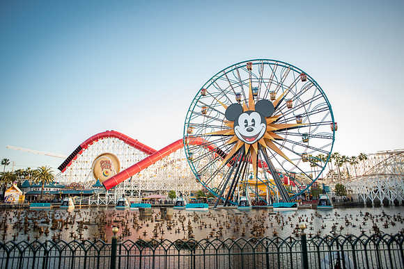 Disney Stcok-1001