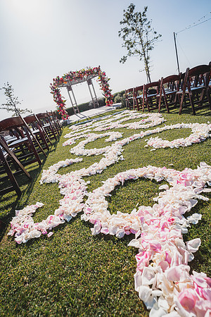 Ellis Wedding-20240531-1693