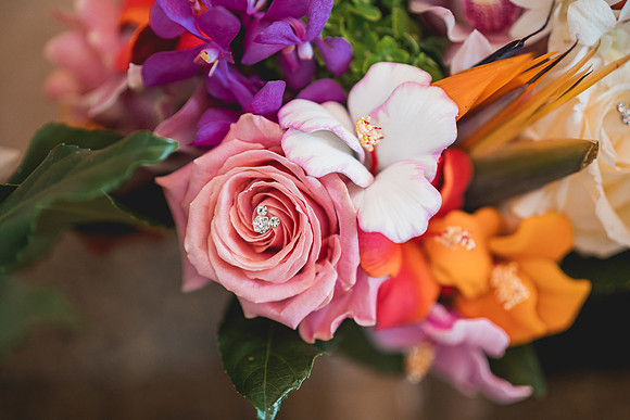 Ellis Wedding-20240531-1395