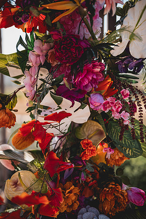 Ellis Wedding-20240531-1362