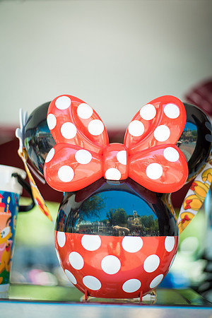 Disney-1065