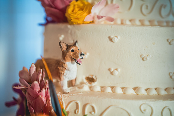 Ellis Wedding-20240531-2124