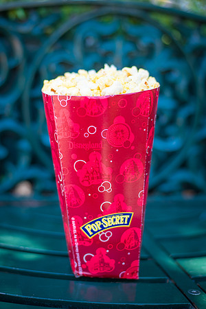 Disney-1070