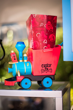 Disney-1048