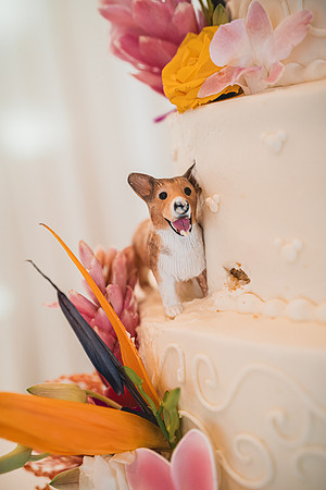 Ellis Wedding-20240531-2117