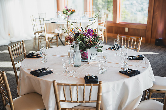 Ellis Wedding-20240531-1946