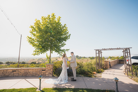 Ellis Wedding-20240531-1540
