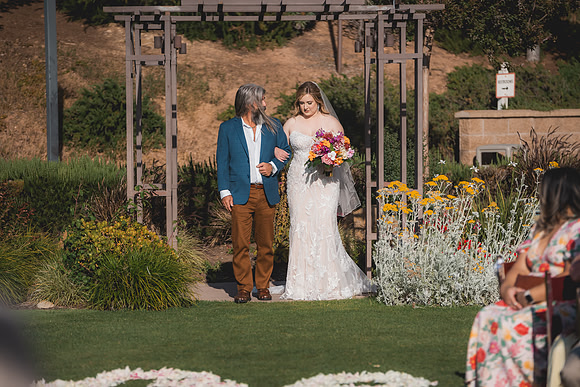 Ellis Wedding-20240531-1729
