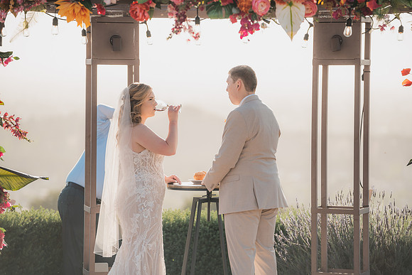Ellis Wedding-20240531-1858