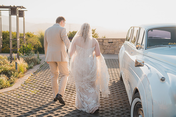 Ellis Wedding-20240531-2015