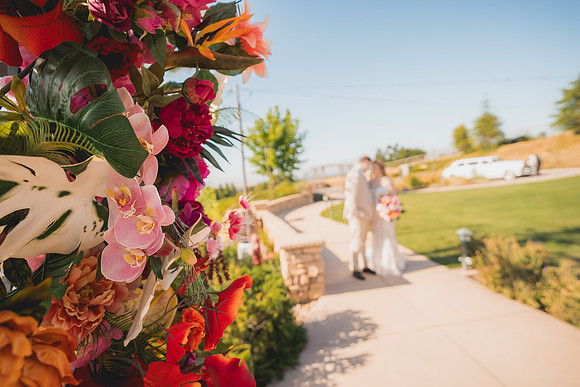 Ellis Wedding-20240531-1625