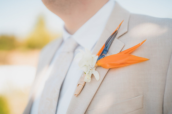 Ellis Wedding-20240531-1408
