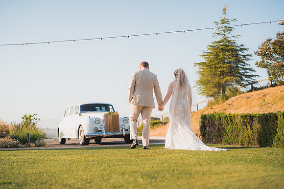 Ellis Wedding-20240531-1968