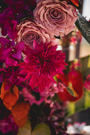Ellis Wedding-20240531-1359