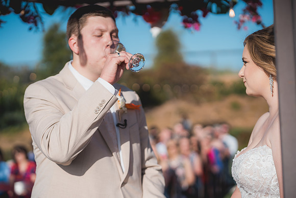 Ellis Wedding-20240531-1860