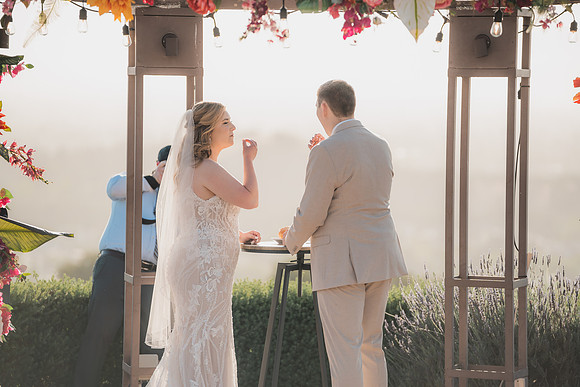 Ellis Wedding-20240531-1851